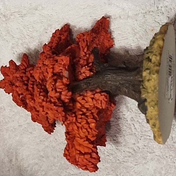 Autumn village trees - Picture 7 of 10